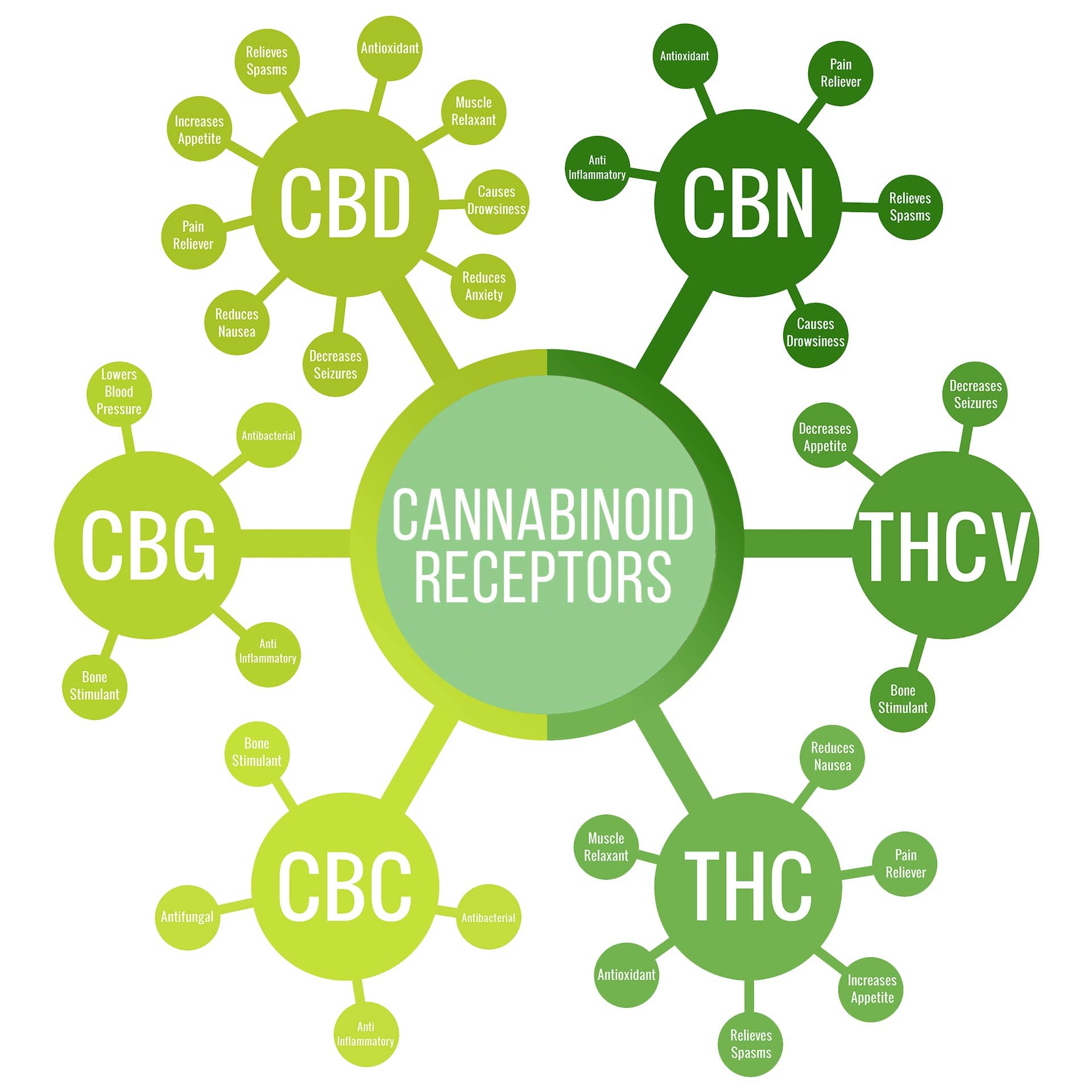 cannabinoid receptors